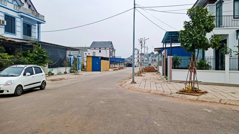 Người dân khu tái định cư phường Tân Hương tự trồng cây xanh.