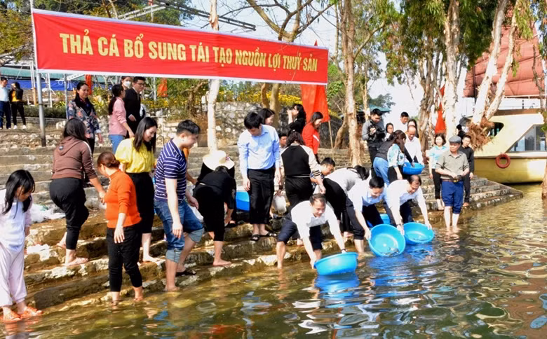 Thả cá bổ sung nguồn lợi thủy sản hồ Thác Bà. (Ảnh: Báo điện tử Đảng Cộng sản)