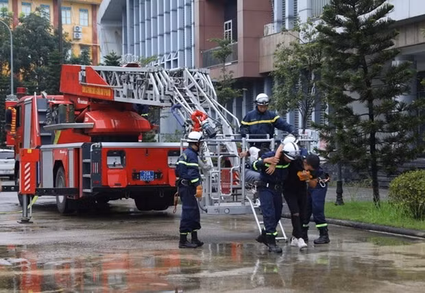 Ảnh minh họa: TTXVN