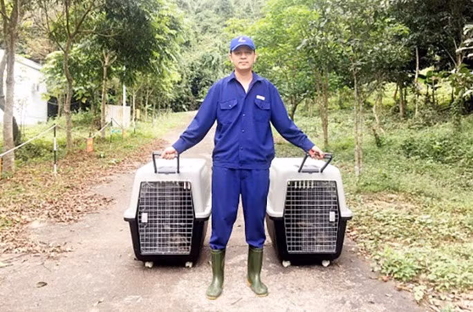 Vườn quốc gia Phong Nha-Kẻ Bàng tiếp nhận các cá thể động vật hoang dã, quý hiếm để tiếp tục cứu hộ, phục vụ việc tái thả về môi trường tự nhiên.