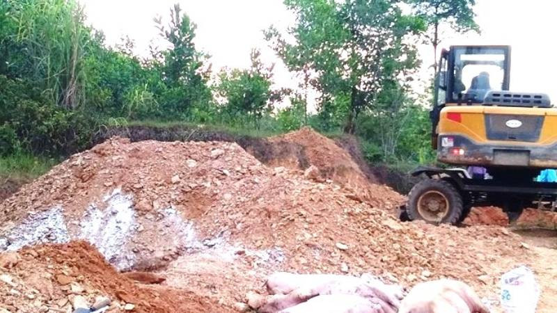 Tiêu hủy lợn ốm, chết do dịch bệnh ở huyện Minh Hóa (Quảng Bình).