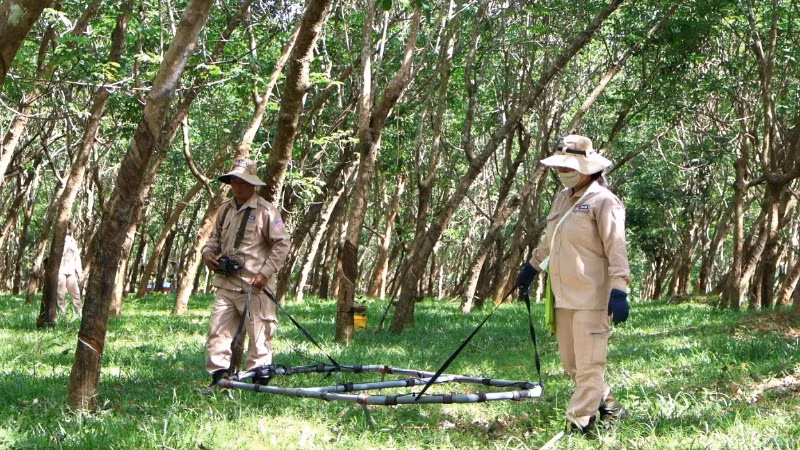 Nhân viên dự án MAG dò tìm và xử lý bom mìn, vật nổ sót lại sau chiến tranh tại huyện Bố Trạch, tỉnh Quảng Bình.