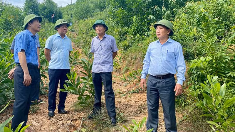 Lãnh đạo tỉnh Quảng Bình kiểm tra khu vực sạt lở tại đồi Phòng Không, thôn Đồng Lâm, xã Đức Hóa., huyện Tuyên Hóa (Ảnh: Hiền Chi)