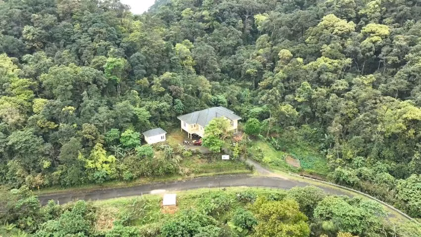 Đỉnh U Bò được ví như là "nóc nhà" của Vườn quốc gia Phong Nha- Kẻ Bàng sắp tới sẽ có tuyến du lịch khám phá thiên nhiên ở đây