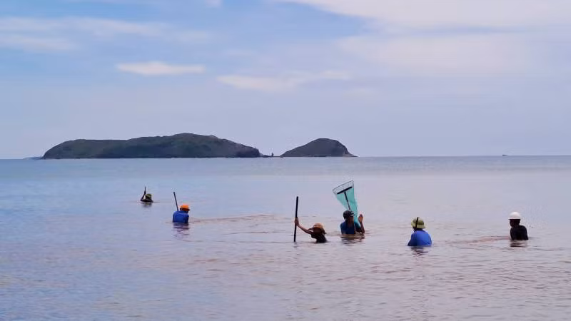 Sáng sớm, vùng biển từ Quảng Phú ra Quảng Đông nhộn nhịp người đi cào ruốc. Sáng sớm, vùng biển từ Quảng Phú ra Quảng Đông nhộn nhịp người đi cào ruốc.
