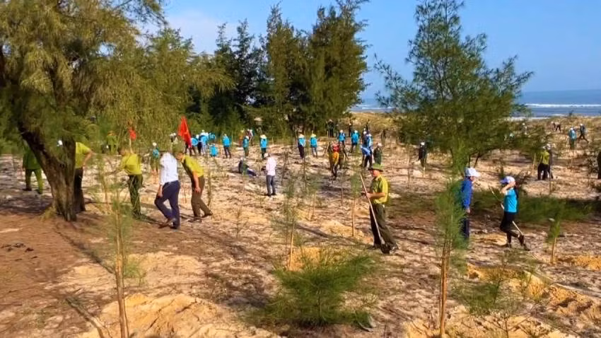 Trồng cây đầu xuân tại thành phố Đồng Hới, tỉnh Quảng Bình.