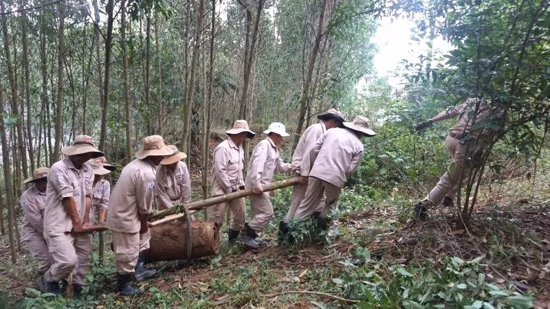 Đội xử lý bom của MAG khiêng quả bom nặng hơn 300kg ở xã Trọng Hóa lên xe chuyên dụng đưa về nơi chở hủy nổ.