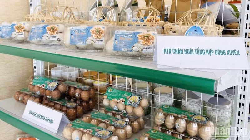 Sản phẩm OCOP 4 sao trứng vịt biển Đông Xuyên (huyện Tiền Hải) được tiêu thụ mạnh trong các hệ thống siêu thị toàn quốc.
