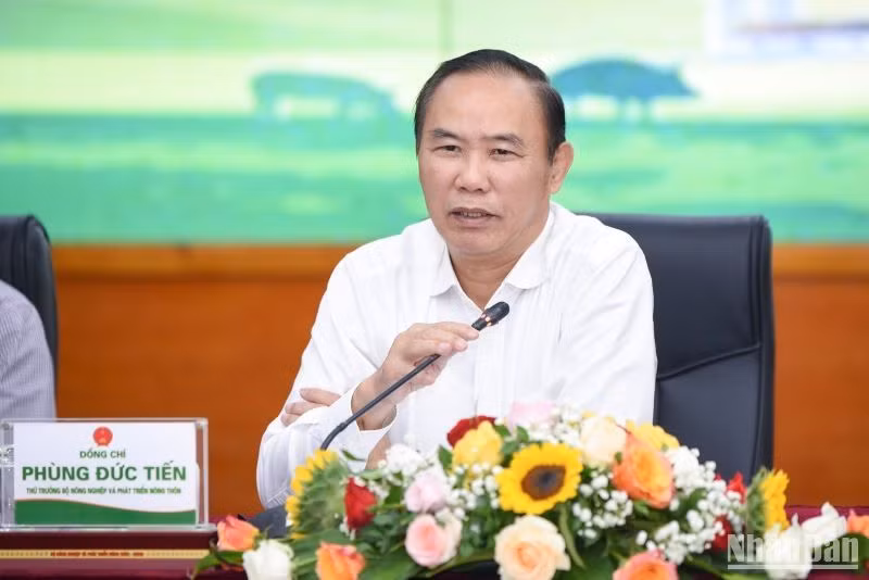 Thứ trưởng Phùng Đức Tiến phát biểu chỉ đạo tại Hội nghị.