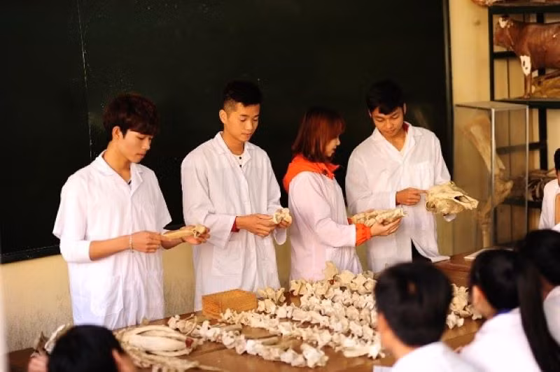 Công tác tuyển sinh và đào tạo nhân lực ngành nông lâm ngư nghiệp đang phải chứng kiến suy giảm nhanh của số lượng học sinh, sinh viên theo học. 