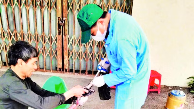 Tiêm vắc-xin phòng bệnh cho gia cầm tại huyện Ứng Hòa