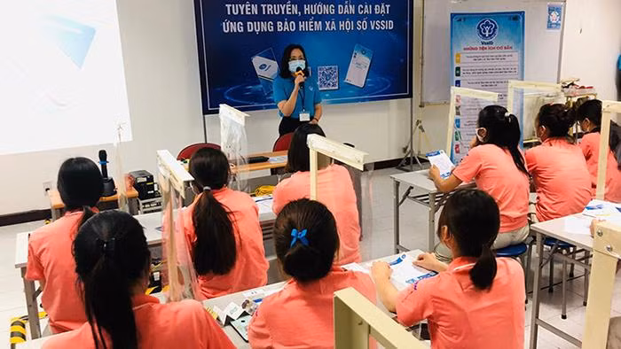 Hướng dẫn người lao động cài đặt VssID (Ảnh: VSS)