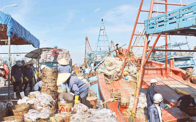 Cảng cá Bình Thắng (huyện Bình Ðại, tỉnh Bến Tre). 