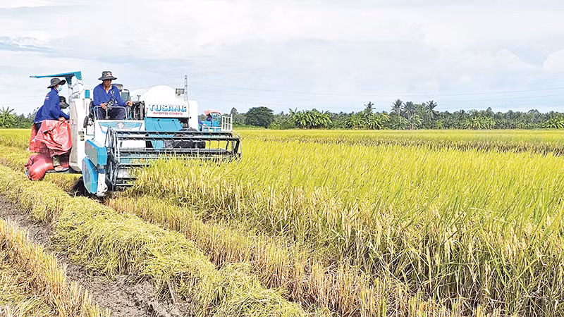 Cơ giới hóa trong sản xuất nông nghiệp tại vùng đồng bào dân tộc thiểu số ở Sóc Trăng. 