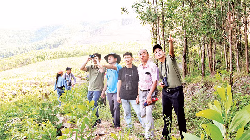 Nhóm Tiên Phong cùng GreenViet vào rừng "thăm" voọc. 