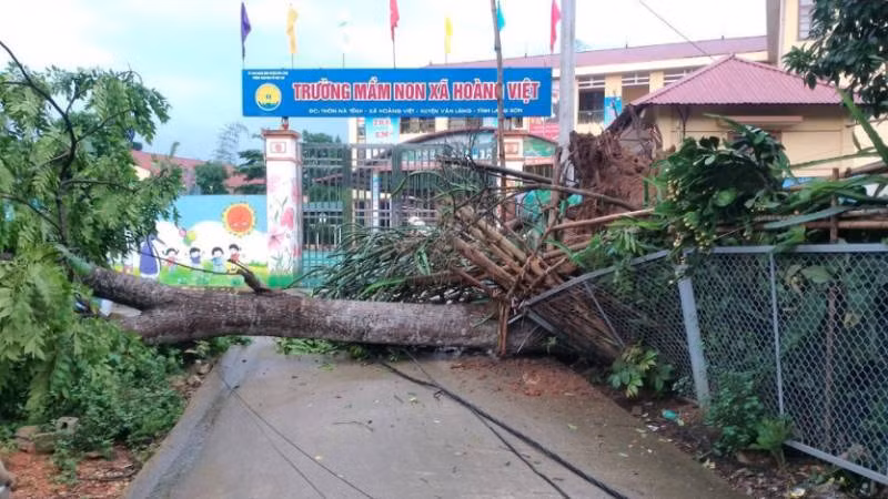 Trường mầm non xã Hoàng Việt Văn Lãng, tỉnh Lạng Sơn bị cây đổ trước cổng trường.