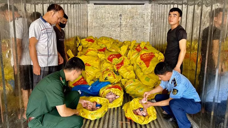 Các lực lượng chống buôn lậu gồm: Quản lý thị trường, Bộ đội biên phòng... phát hiện, bắt giữ xe chở thực phẩm "bẩn" trên địa bàn huyện Lộc Bình, (Lạng Sơn).