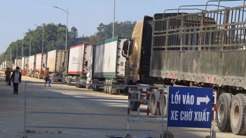 Xe chở hàng nông sản làm thủ tục thông quan qua cửa khẩu Tân Thanh, Văn Lãng (Lạng Sơn).