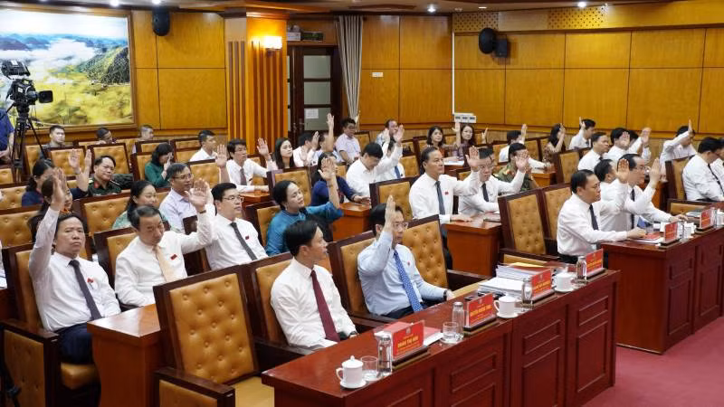 Các đại biểu biểu quyết thông qua nghị quyết.
