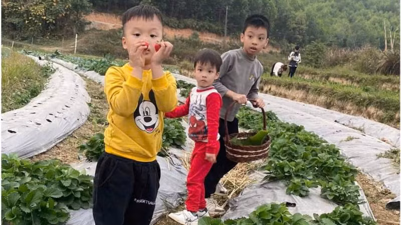 Sản phẩm nông sản sạch do đoàn viên thanh niên triển khai, thu hút các cháu thiếu nhi tham gia trải nghiệm.