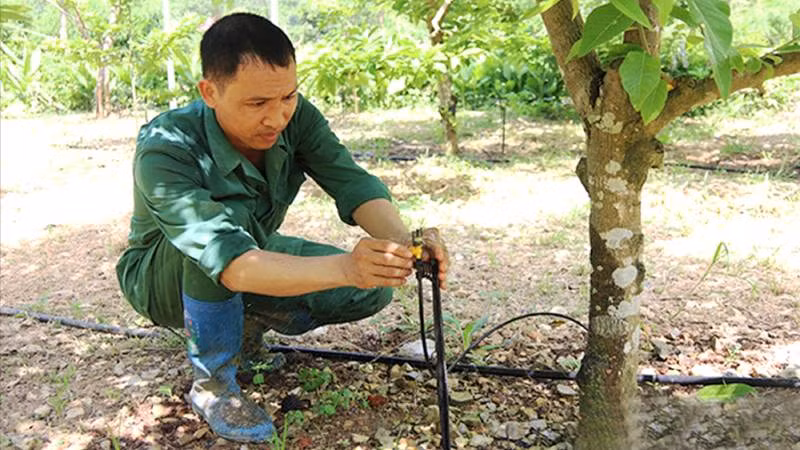 Người dân thôn Quán Thanh, xã Chi Lăng, huyện Chi Lăng (Lạng Sơn) kiểm tra hệ thống tưới nước tự động qua điện thoại thông minh.