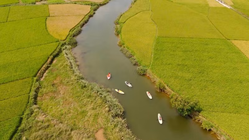 Du khách trải nghiệm chèo bè trên thung lũng mùa vàng Bắc Sơn (Lạng Sơn).