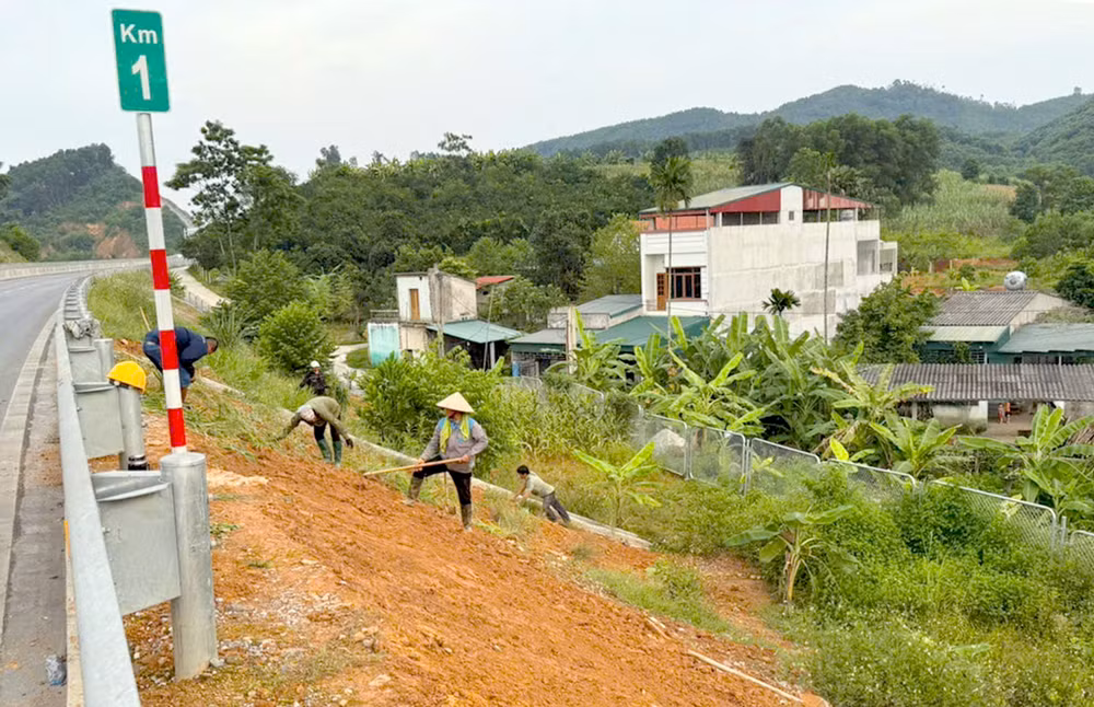 Công nhân trồng bổ sung cỏ tại các mái ta-luy để chống xói lở đất.