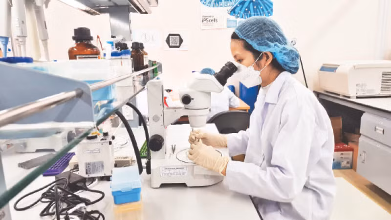 Hoạt động nghiên cứu khoa học tại Trường đại học Quốc tế (Đại học Quốc gia Thành phố Hồ Chí Minh).