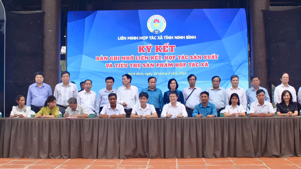 15 đơn vị hợp tác xã có sản phẩm tiêu biểu được tôn vinh ký biên bản ghi nhớ với đơn vị tiêu thụ lớn và Trung tâm Công nghệ chống hàng giả Việt Nam. (Ảnh: YẾN TRINH)