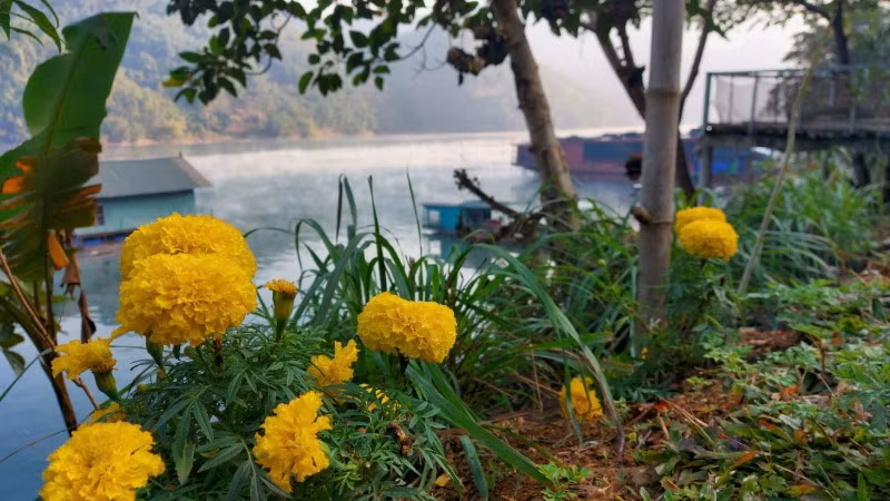 Cuộc sống bà con còn nhiều khó khăn nhưng cũng thật bình yên.