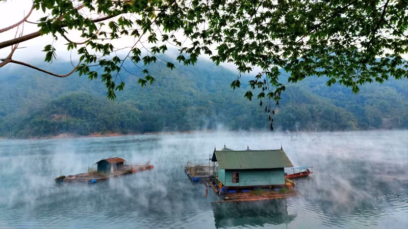 Nhà bè nuôi cá trong khung cảnh nên thơ mùa xuân.