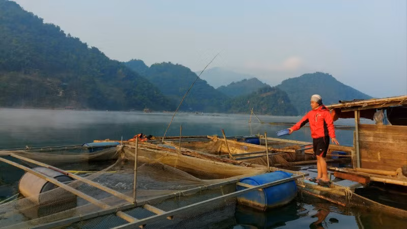 Người dân ven hồ vừa sản xuất nông nghiệp vừa nuôi cá lồng.