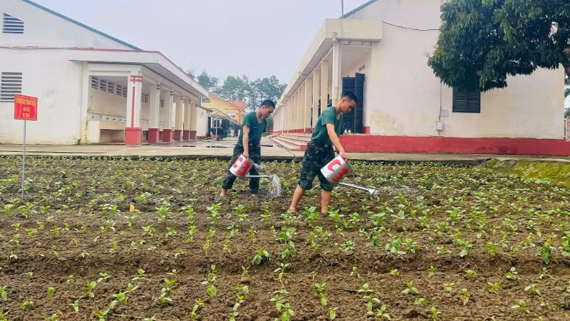Tăng gia sản xuất sau giờ huấn luyện.