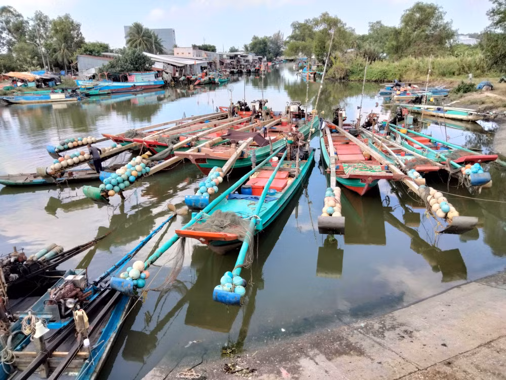 Các loại cào bờ, xiệp mé dùng ngư lưới cụ có mắt lưới nhỏ hoạt động liên tục làm cho các loài hải sản không kịp tái tạo. (Ảnh QUỐC TRINH)
