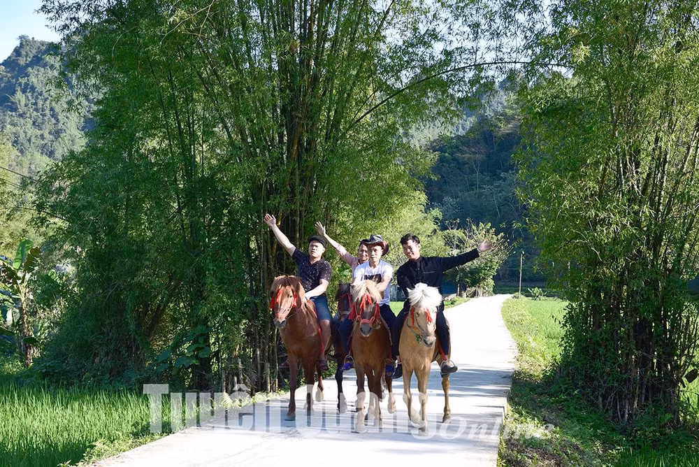 Du khách cưỡi ngựa trải nghiệm homestay ở xã Khuôn Hà, Lâm Bình. Du khách cưỡi ngựa trải nghiệm homestay ở xã Khuôn Hà, Lâm Bình.