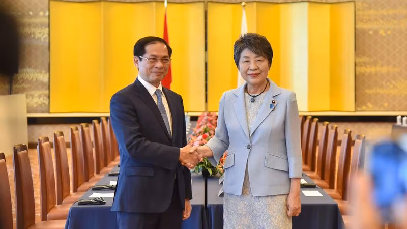 Bộ trưởng Ngoại giao Bùi Thanh Sơn (trái) và người đồng cấp Nhật Bản Kamikawa Yoko đồng chủ trì Phiên họp Ủy ban Hợp tác Việt Nam-Nhật Bản. (Ảnh: Bộ Ngoại giao)