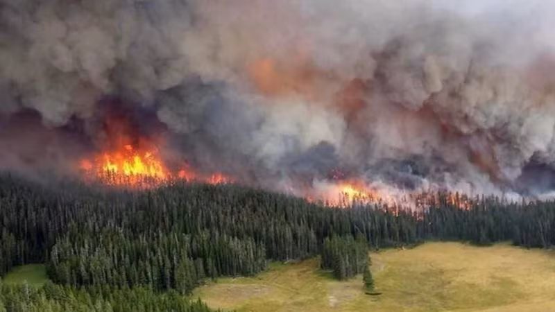 Nguồn: Reuters/TTXVN