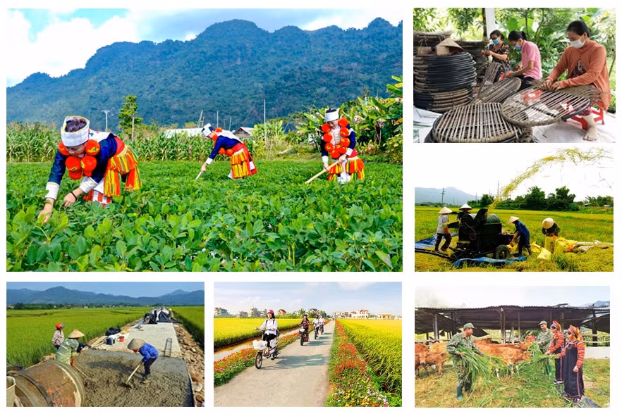 Ảnh minh họa.(Nguồn: Báo điện tử Chính phủ)