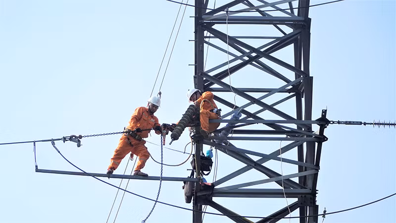 Sửa chữa bảo dưỡng lưới điện.