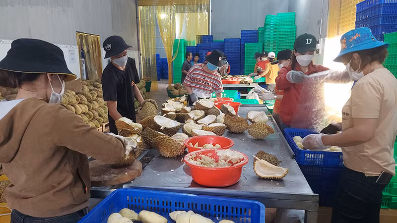 Chế biến sâu nông sản góp phần tăng giá trị, tạo được đầu ra ổn định cho sản phẩm