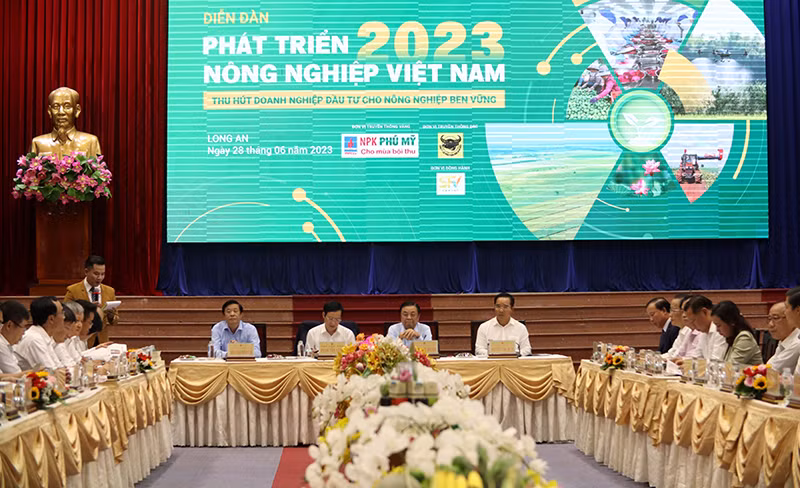 Quang cảnh diễn đàn.