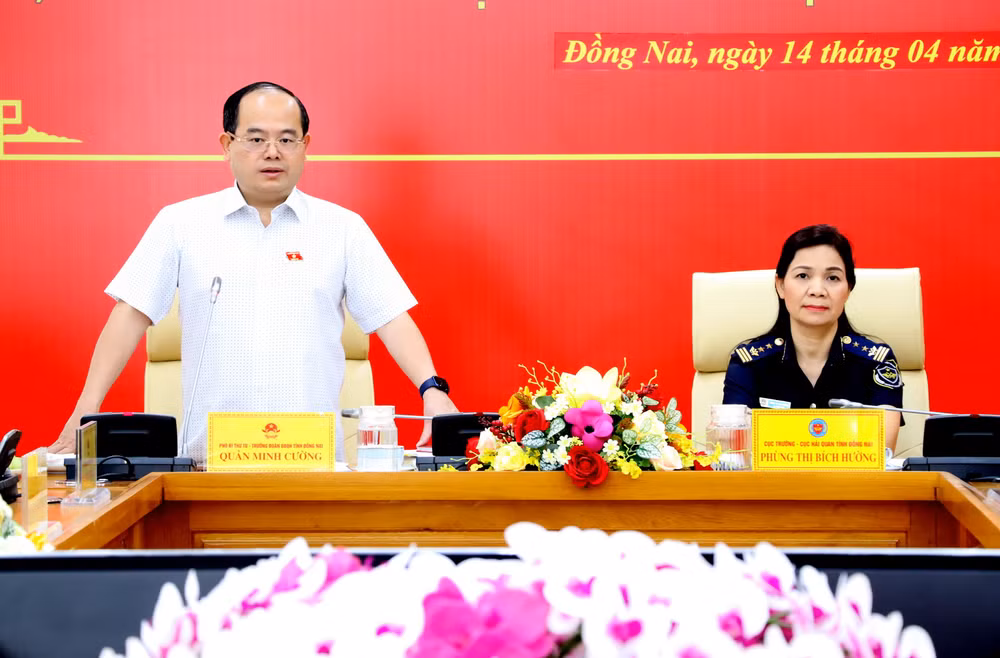 Đồng chí Quản Minh Cường, Phó Bí thư Tỉnh ủy, Trưởng Đoàn đại biểu Quốc hội tỉnh Đồng Nai phát biểu tại buổi giám sát.