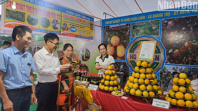 Gian hàng trưng bày sản phẩm cam của huyện Can Lộc tại Lễ hội Cam.