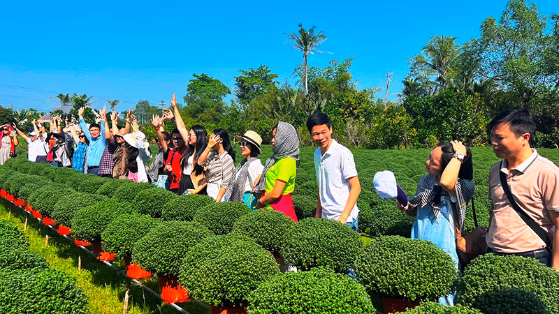 Khách du lịch tham quan vùng sản xuất hoa tại huyện Chợ Lách, tỉnh Bến Tre.