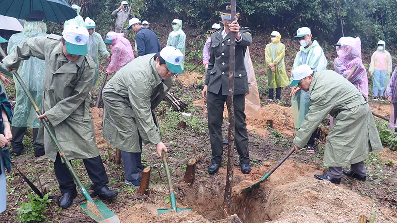 Lãnh đạo tỉnh Quảng Ngãi tham gia trồng cây đời đời nhớ ơn Bác Hồ.