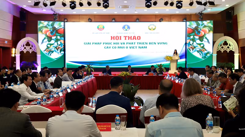 Các đại biểu dự hội thảo.