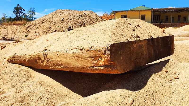 Một mặt phản gỗ các đối tượng che giấu dưới cát bị lực lượng chức năng phát hiện.