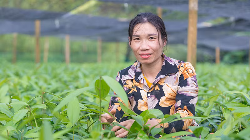 Phụ nữ ở Yên Bái tham gia dự án “Bứt phá: Thúc đẩy tài chính toàn diện cho phụ nữ dân tộc thiểu số” giúp nhiều chị thoát nghèo. (Ảnh: Care quốc tế tại Việt Nam)