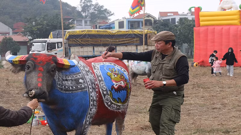 Những chú trâu khỏe mạnh, có dáng đẹp được ban tổ chức lựa chọn để làm giá vẽ cho các họa sĩ thể hiện ý tưởng nghệ thuật. Những chú trâu khỏe mạnh, có dáng đẹp được ban tổ chức lựa chọn để làm giá vẽ cho các họa sĩ thể hiện ý tưởng nghệ thuật.