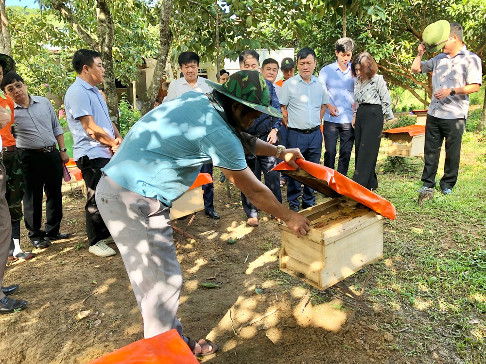 Mô hình nuôi ong trong vườn cây ăn quả ở xã Sơn Lộc, huyện Can Lộc (Hà Tĩnh).